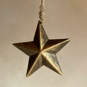 Wooden star leaf gold