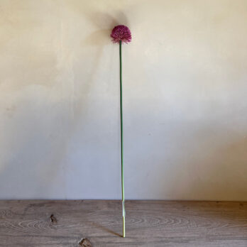 Faux Large Allium Stem