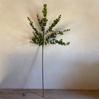 Faux Decorative Eucalyptus Spray