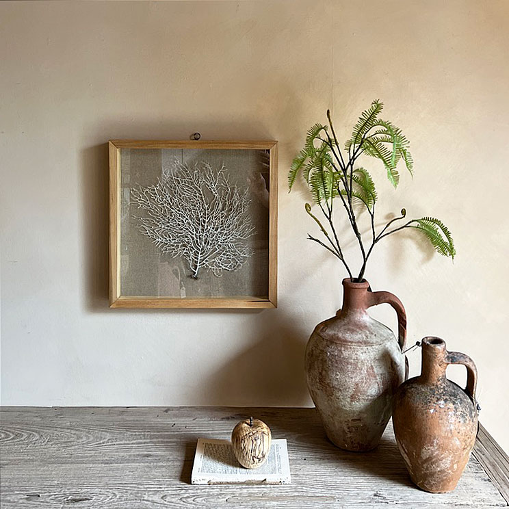 Vintage white sea fan oak | Linen