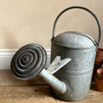 Antique English Watering Can | A