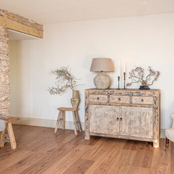 ANTIQUE PAINTED CUPBOARD | KILLERTON
