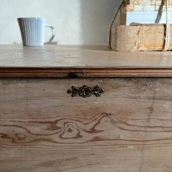 Victorian English Antique blacket box