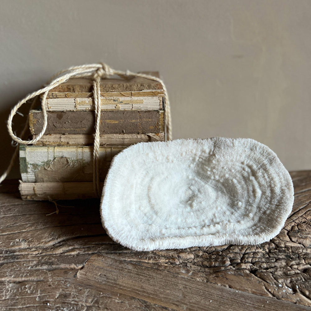 Vintage white Coral | No:1