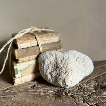 Vintage white Coral | No:6