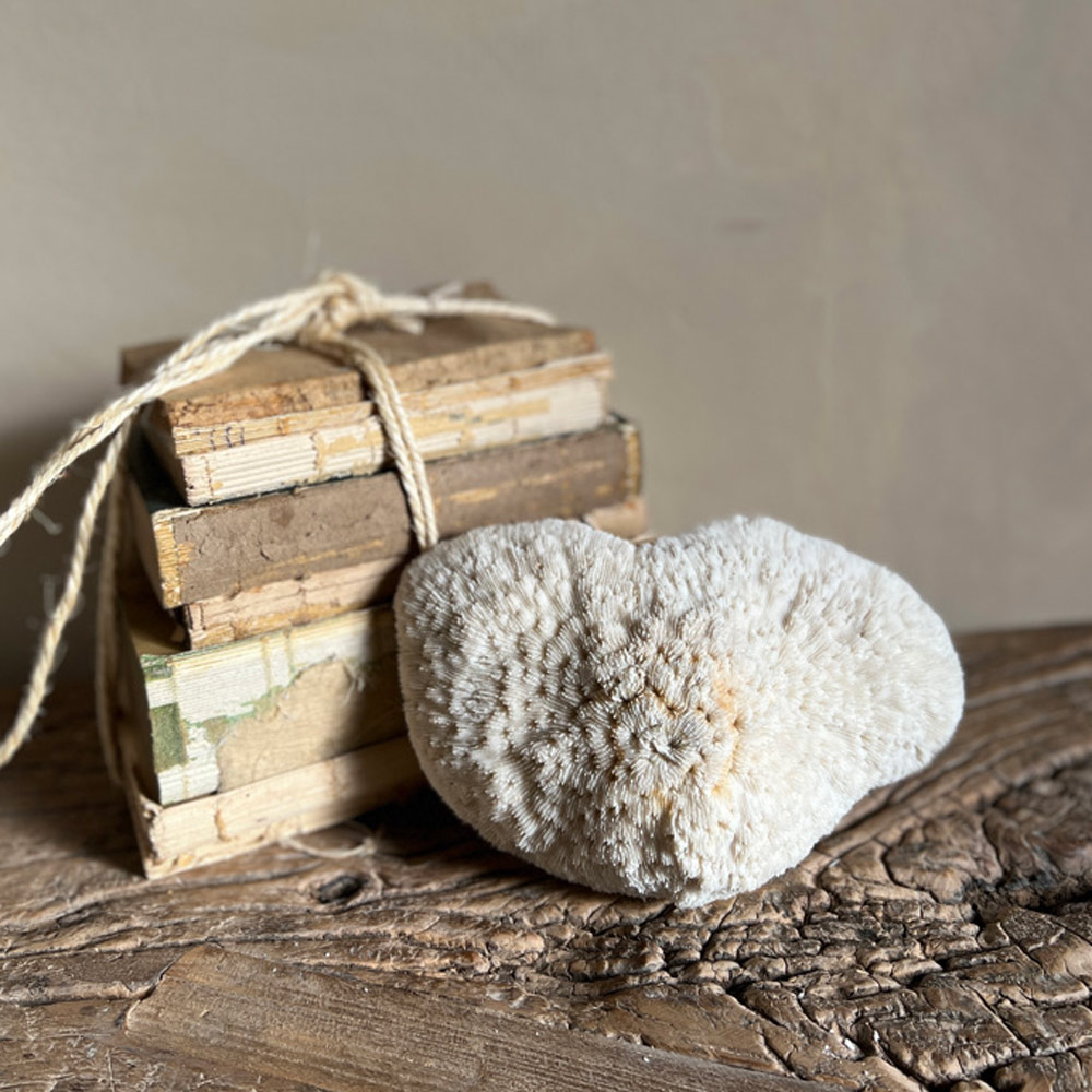 Vintage white Coral | No:6