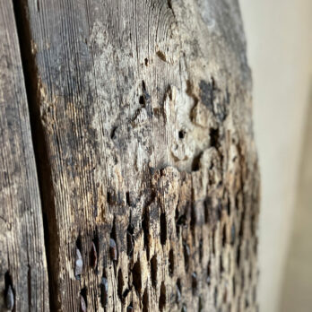 Antique Grain Thresher | Ugo