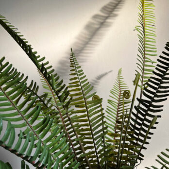 Artificial Fern Bush | 88 cm