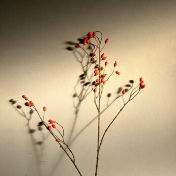 Artificial Rosehip Spray Orange
