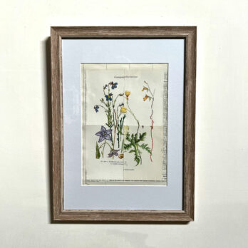 Botanical Book plateBotanical Book plate collage artwork 166 collage artwork 166