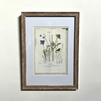 Botanical Book plate collage artwork 167