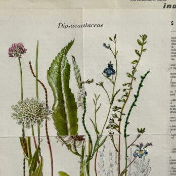 Botanical Book plate collage artwork 173