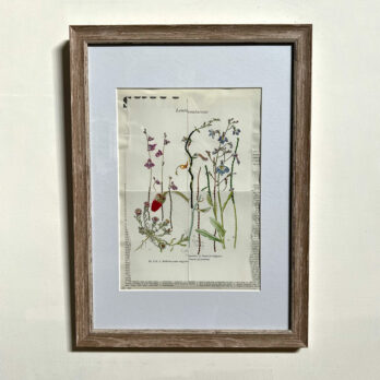 Botanical Book plate collage artwork 174