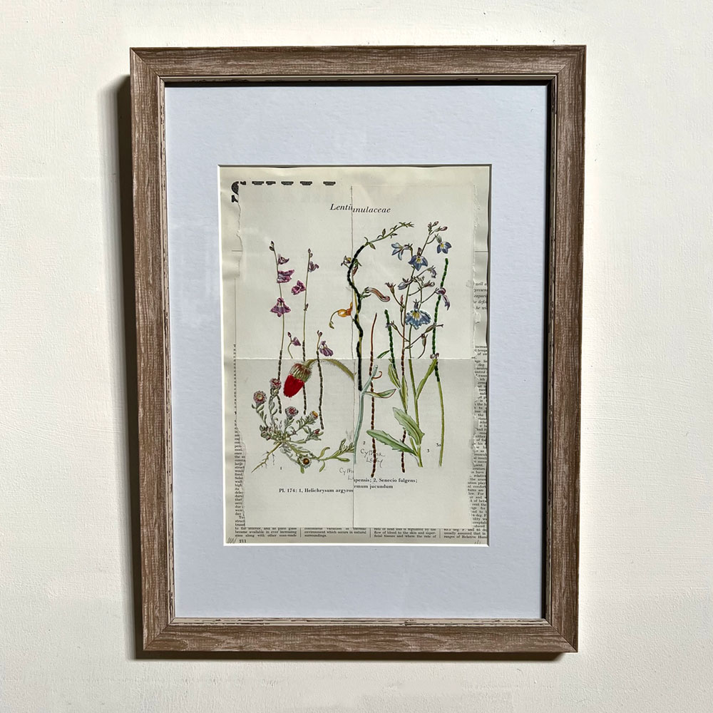 Botanical Book plate collage artwork 174
