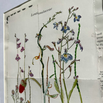 Botanical Book plate collage artwork 174