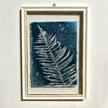 FRAMED CYANOPRINTS | BOTANICAL ARTWORK No: 2