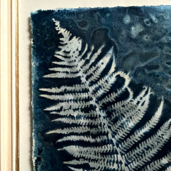 FRAMED CYANOPRINTS | BOTANICAL ARTWORK No: 2