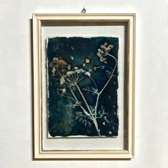 FRAMED CYANOPRINTS | BOTANICAL ARTWORK No: 6