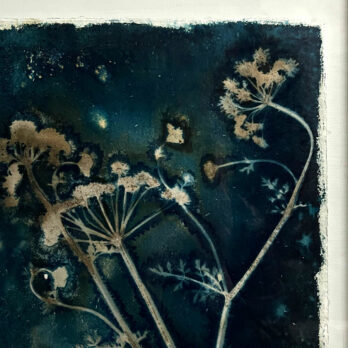 FRAMED CYANOPRINTS | BOTANICAL ARTWORK No: 6