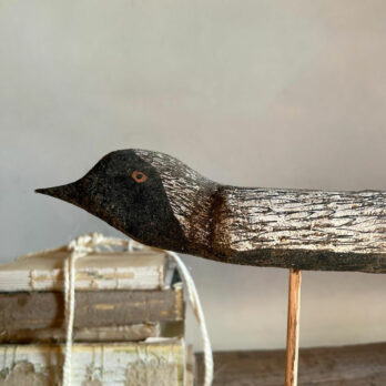Vintage French Decoy Bird | G