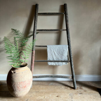 Orchard Ladder Section