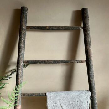 Orchard Ladder Section