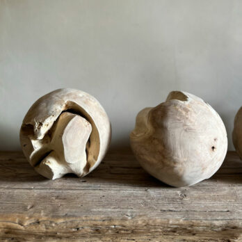 Rustic Tree Root Ball