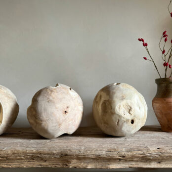 Rustic Tree Root Ball