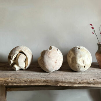 Rustic Tree Root Ball