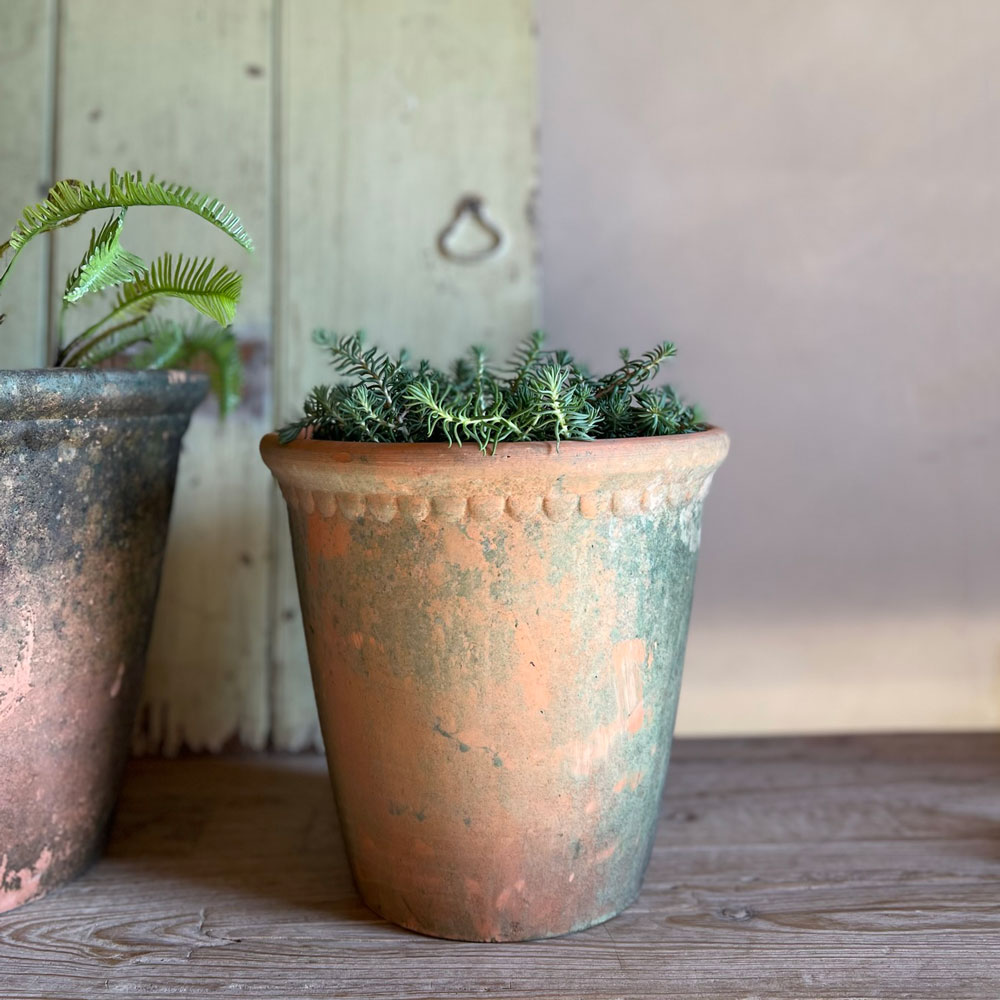 Terracotta aged pot Medium | Laced