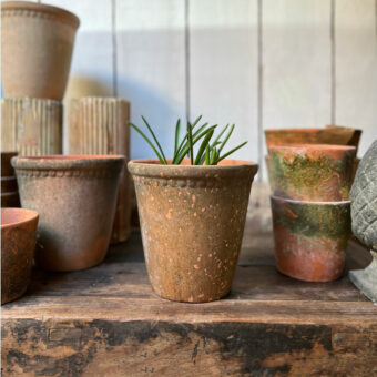 Terracotta aged pot Small | Laced