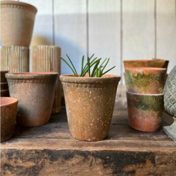 Terracotta aged pot Small | Laced