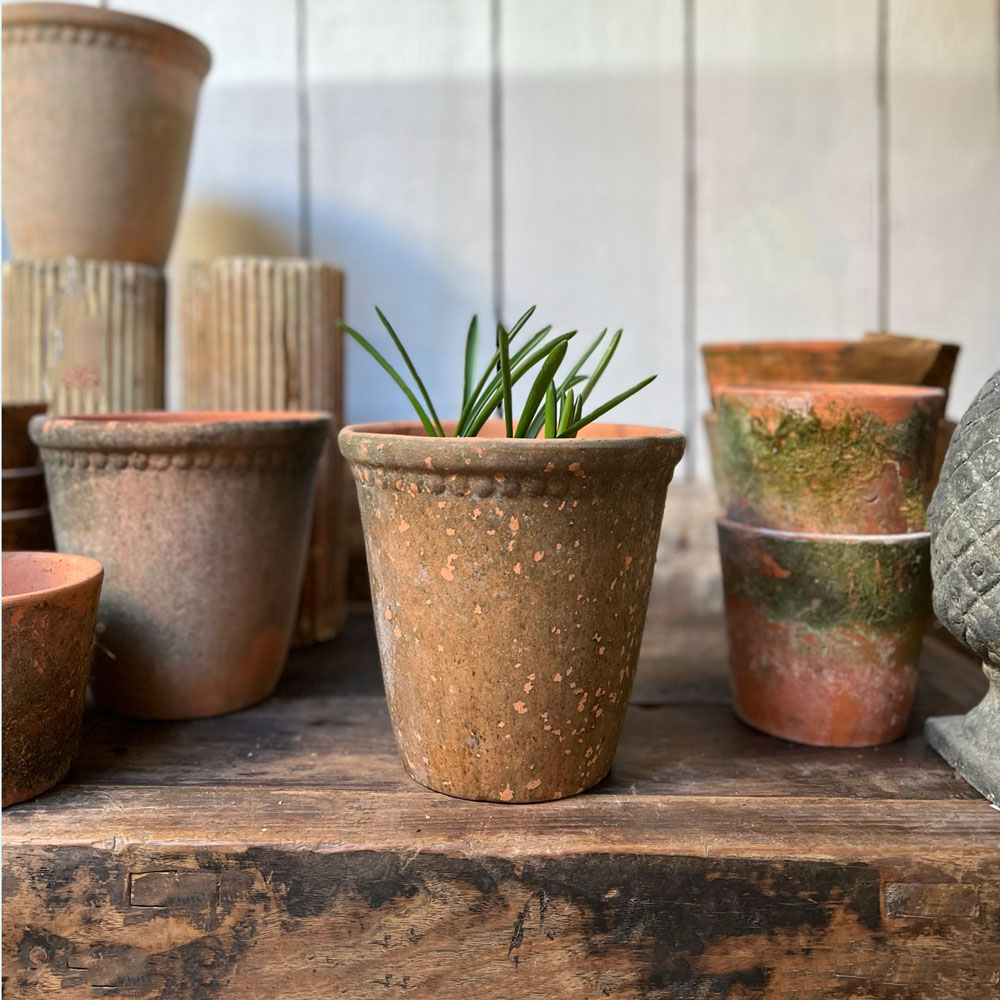 Terracotta aged pot Small | Laced