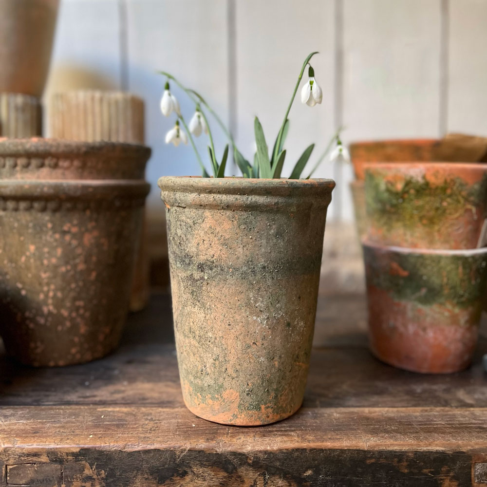 Terracotta Pot Tall Moss Covered