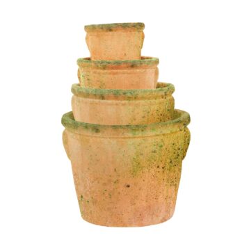 Extra large terracotta garden planterLarge Terracotta garden planter