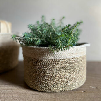 Woven Ecru Basket | Medium