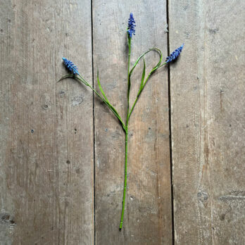 Artificial Muscari Spray | 59cm