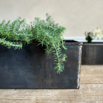 Distressed-metal-planter-group2