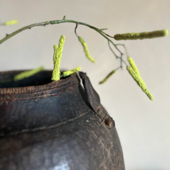 Large Antique African Pot | Brooklyn