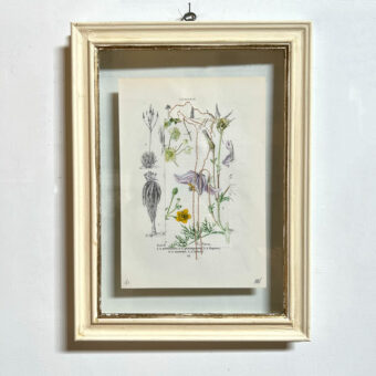 Botanical Book Plate Collage Artwork 45