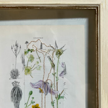 Botanical Book Plate Collage Artwork 45