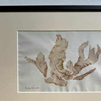 Antique real seaweed framed | no 5
