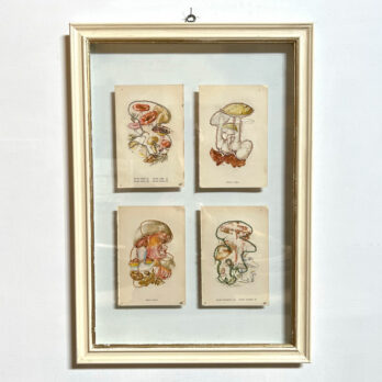 Mixed Botanical book plate Art | B
