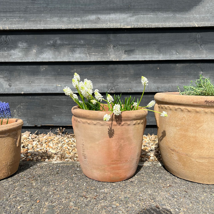 Medium Terracotta garden planter