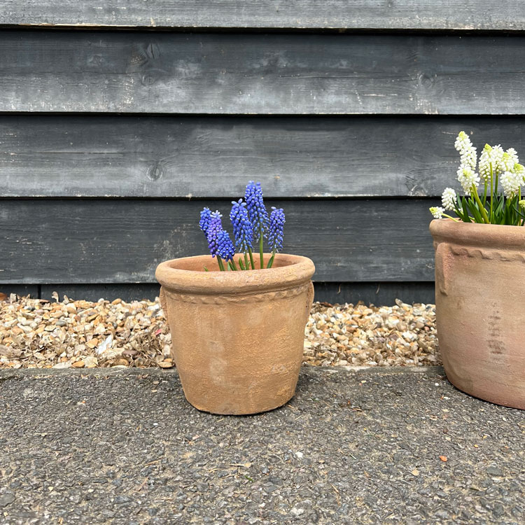 Small Terracotta garden planter