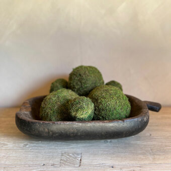 Preserved Real Moss Ball 10cm