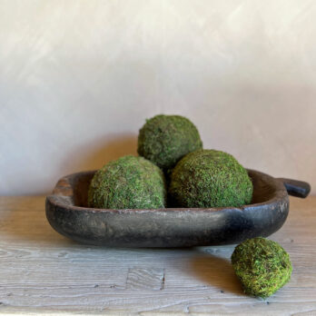 Preserved Real Moss Ball 10cm