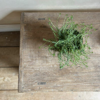 Antique rustic coffee table | Reuben