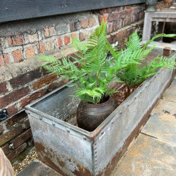 Antique riveted water trough planter