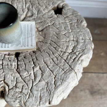 Tree root low table | Sebastian